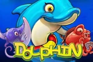 Dolphin
